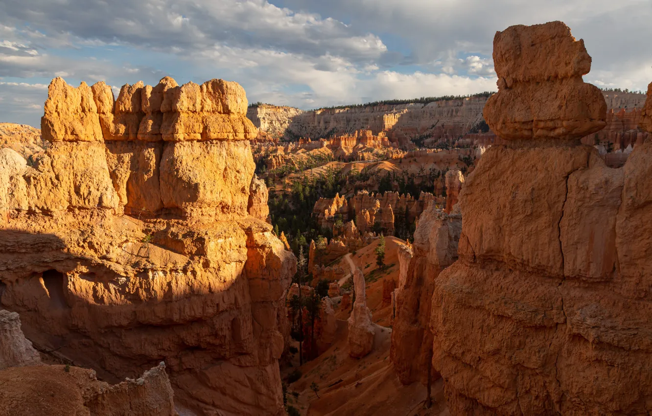 Фото обои природа, скала, каньон, canyon, national park, bryce
