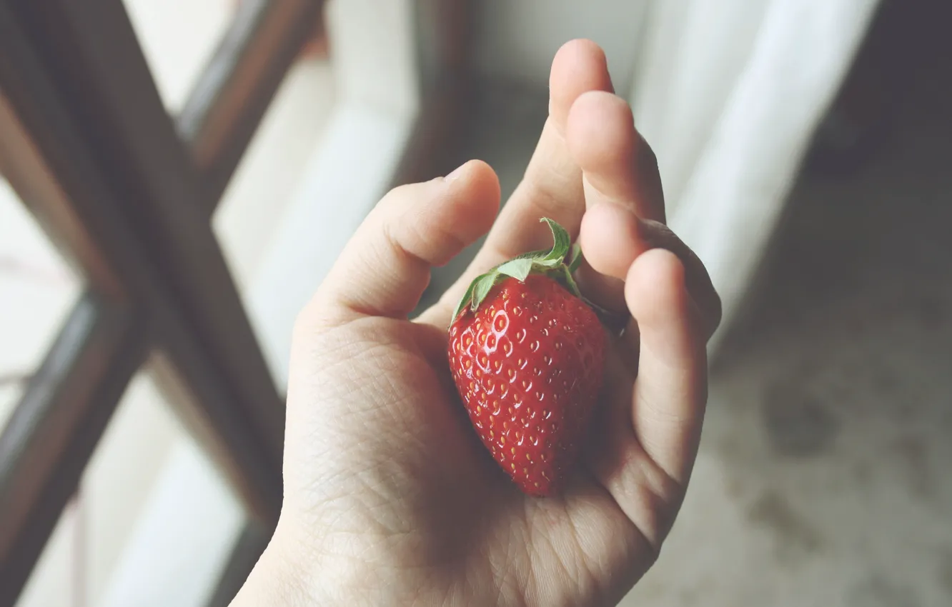 Фото обои рука, клубника, ягода, пальцы, красная