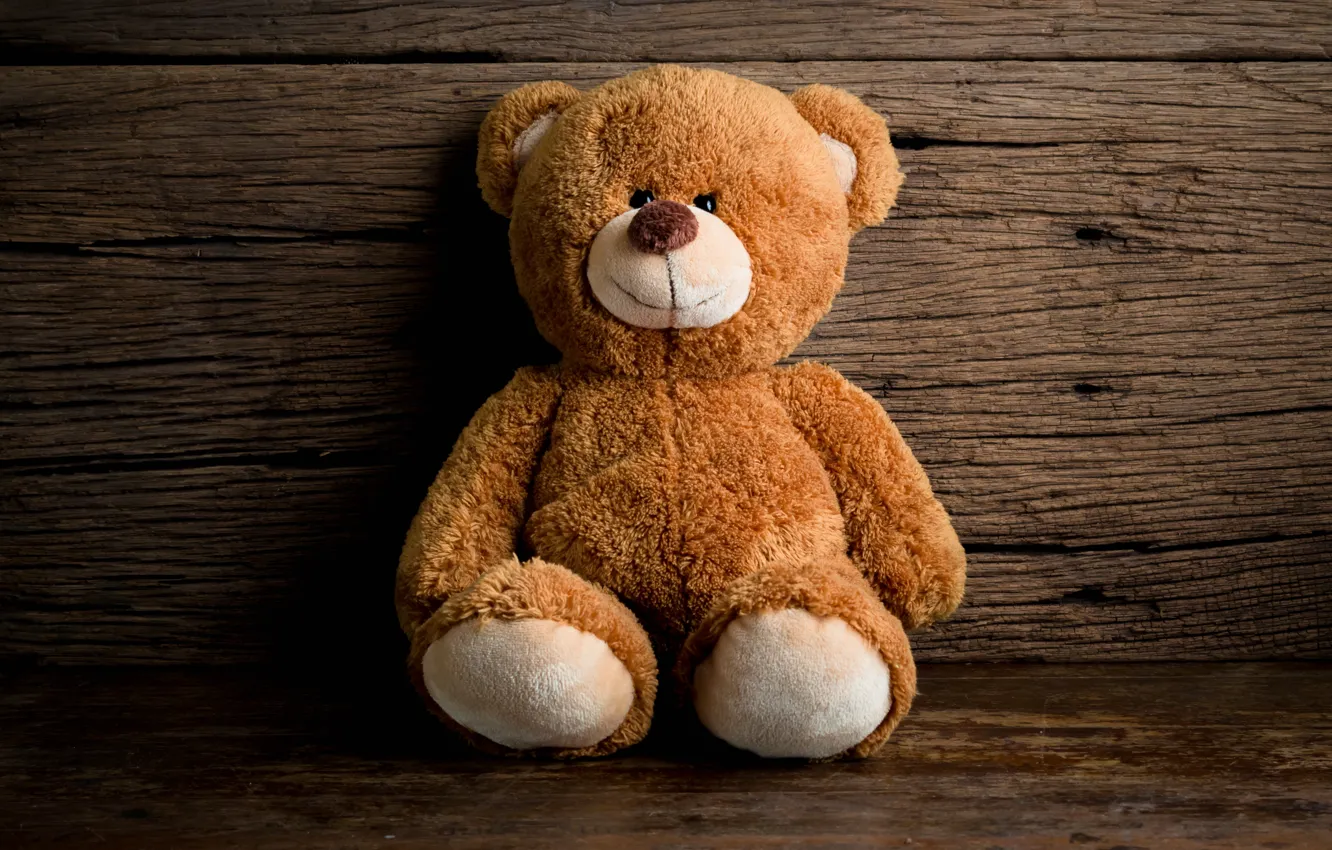 Фото обои игрушка, медведь, мишка, wood, teddy bear, cute
