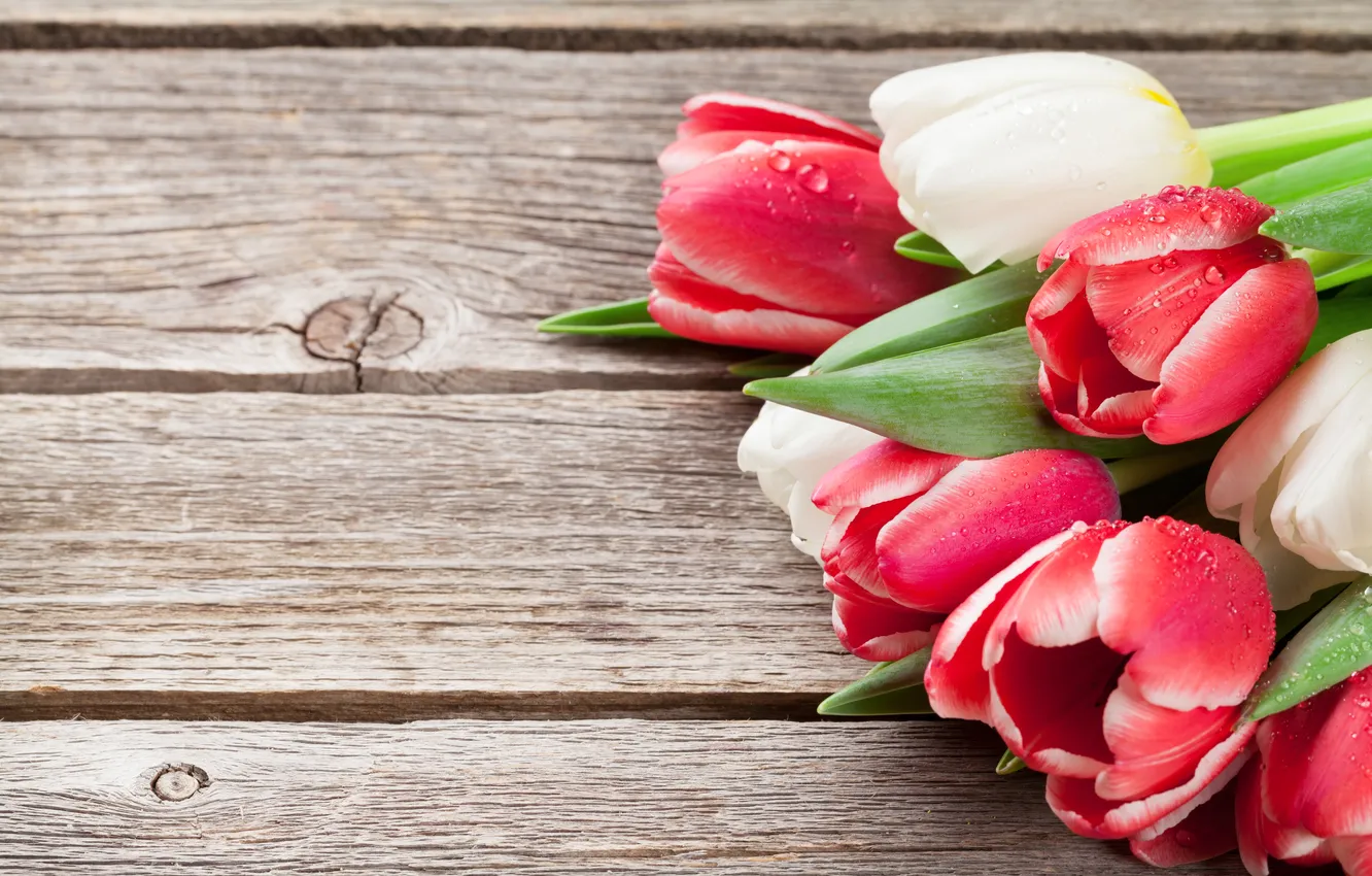 Фото обои цветы, букет, тюльпаны, red, white, wood, flowers, tulips