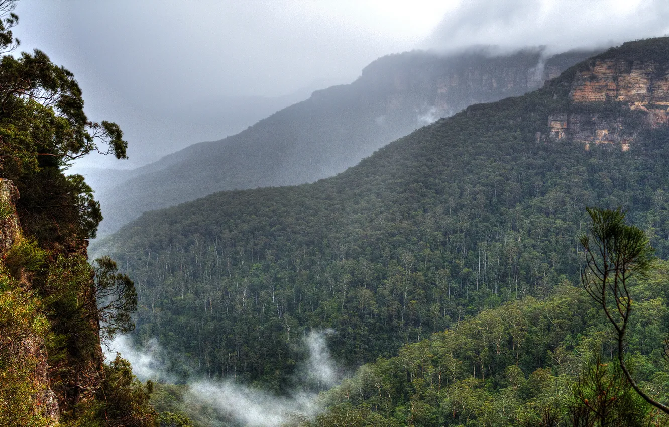 Фото обои облака, деревья, горы, туман, скалы, Австралия, Сидней, леса