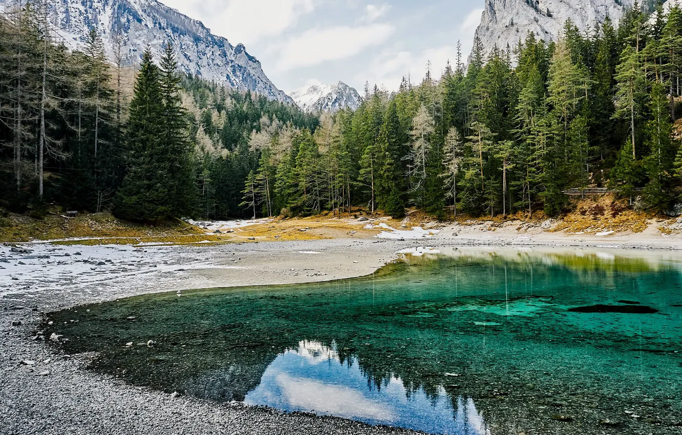 Фото обои лес, деревья, горы, озеро, скалы, Австрия