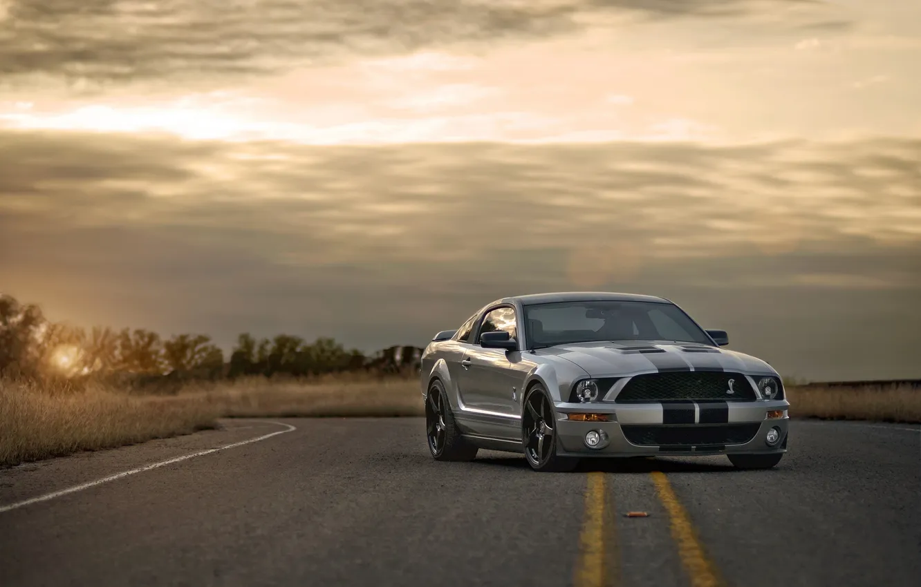 Фото обои дорога, закат, Mustang, Ford, Shelby, GT500, мустанг, серебристый