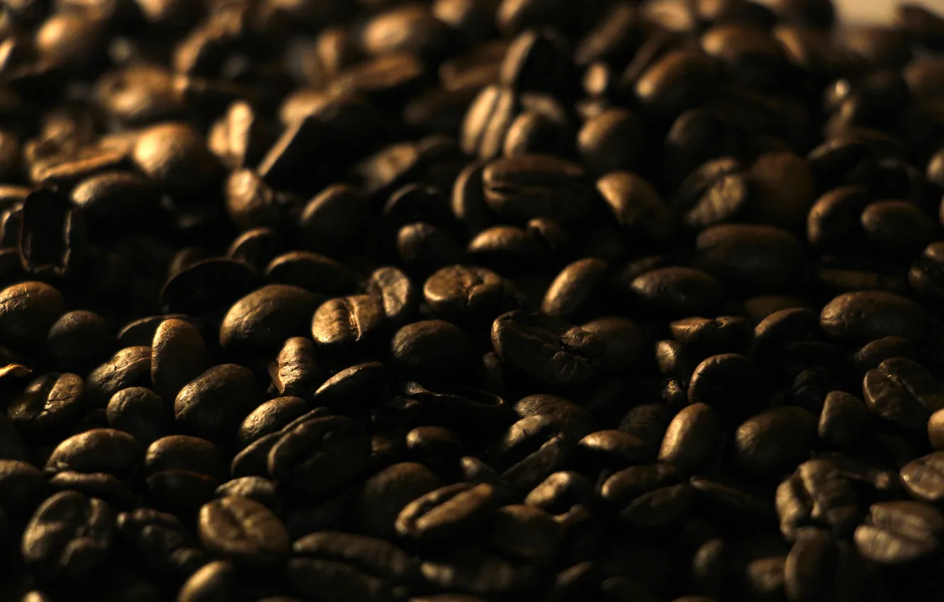 Фото обои dark, coffe, seeds