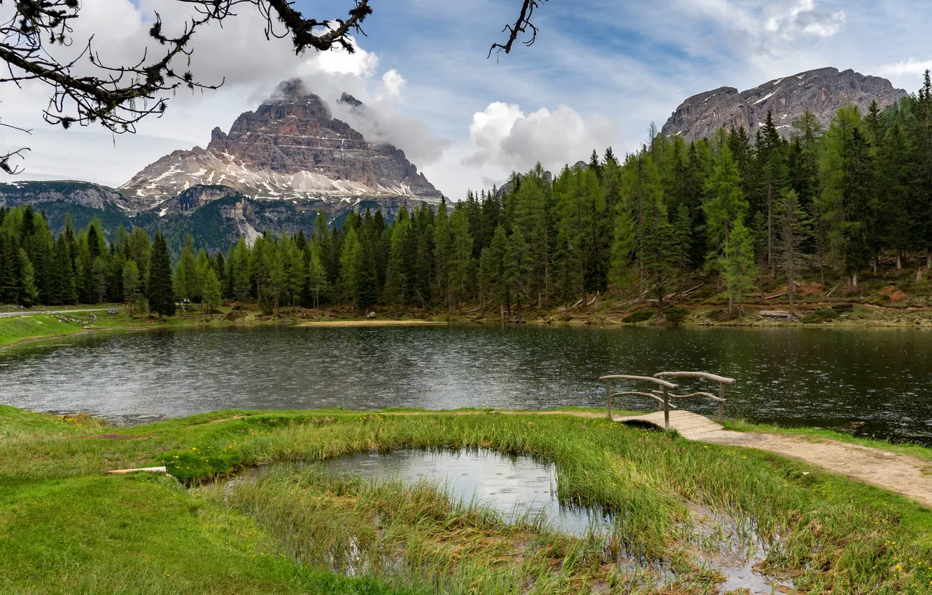 Фото обои лес, лето, трава, облака, горы, ветки, озеро, скалы