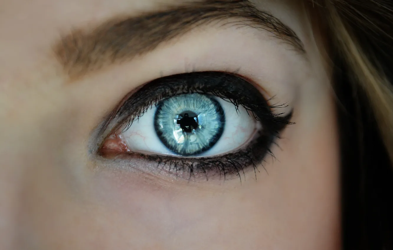 Фото обои reflection, makeup, blue eye