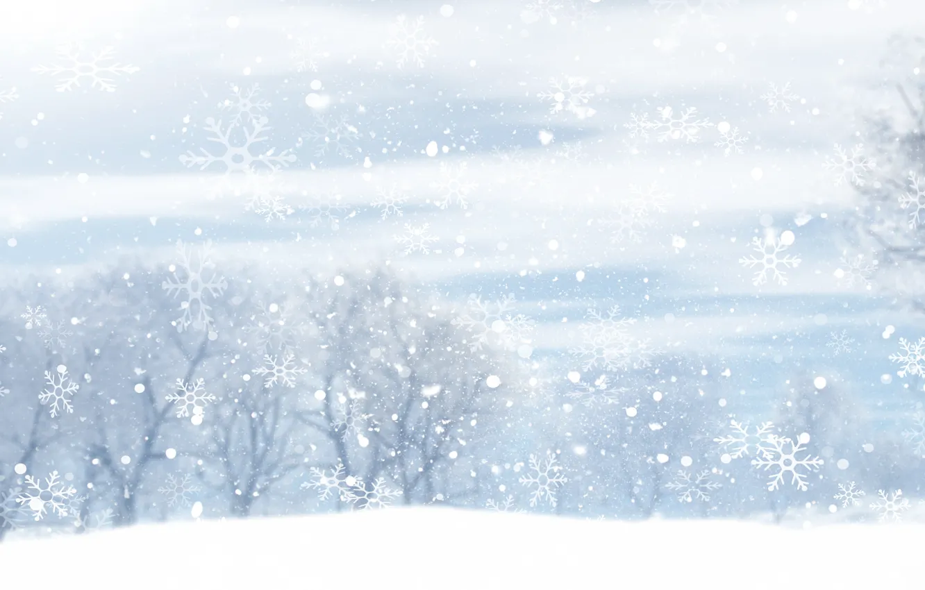 Фото обои зима, лес, небо, облака, снег, деревья, снежинки, текстура