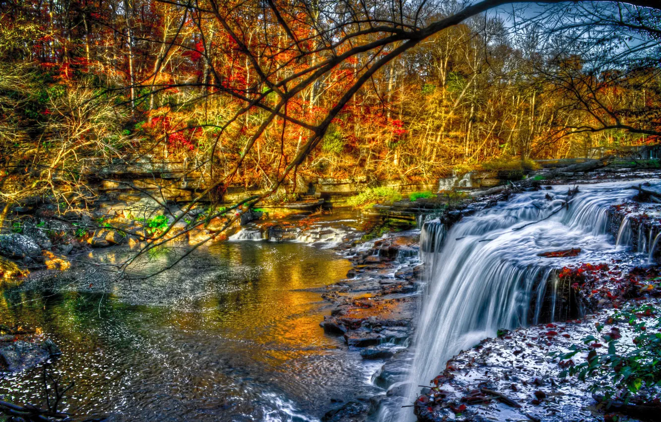 Фото обои осень, лес, деревья, река, камни, листва, водопад, перекаты