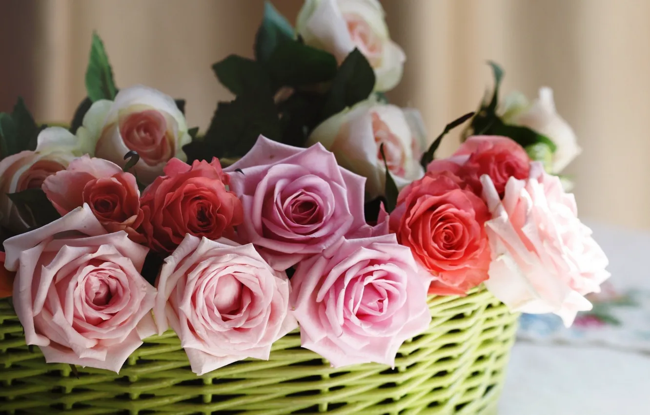 Фото обои розы, корзинка, бутоны, © Elena Di Guardo