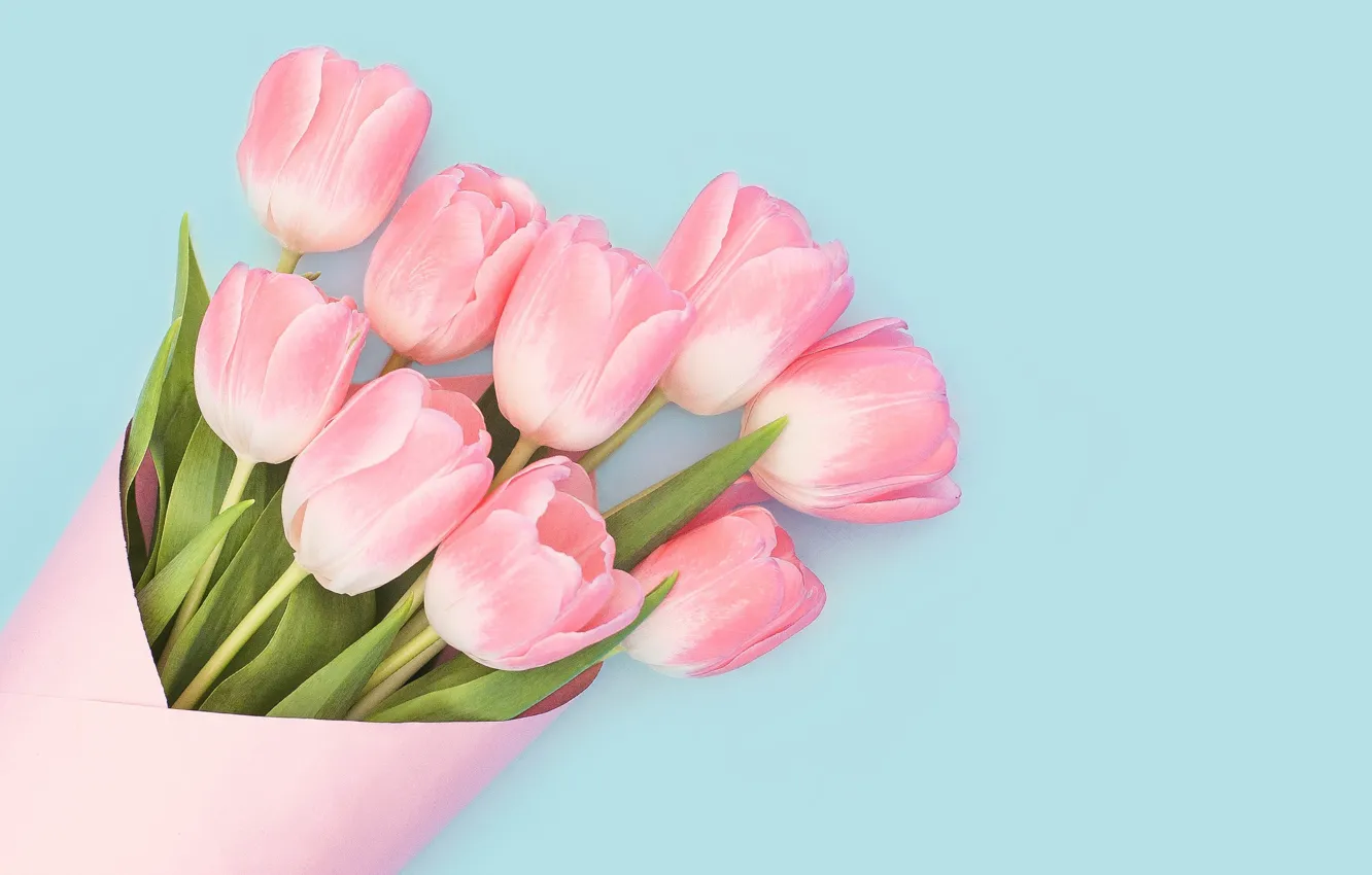 Фото обои цветы, букет, тюльпаны, розовые