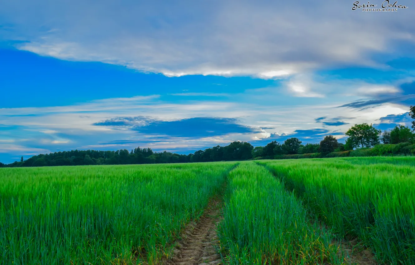 Фото обои Nature, Sky, Purple, Landscape, Sunset, Magic, Summer, United Kingdom