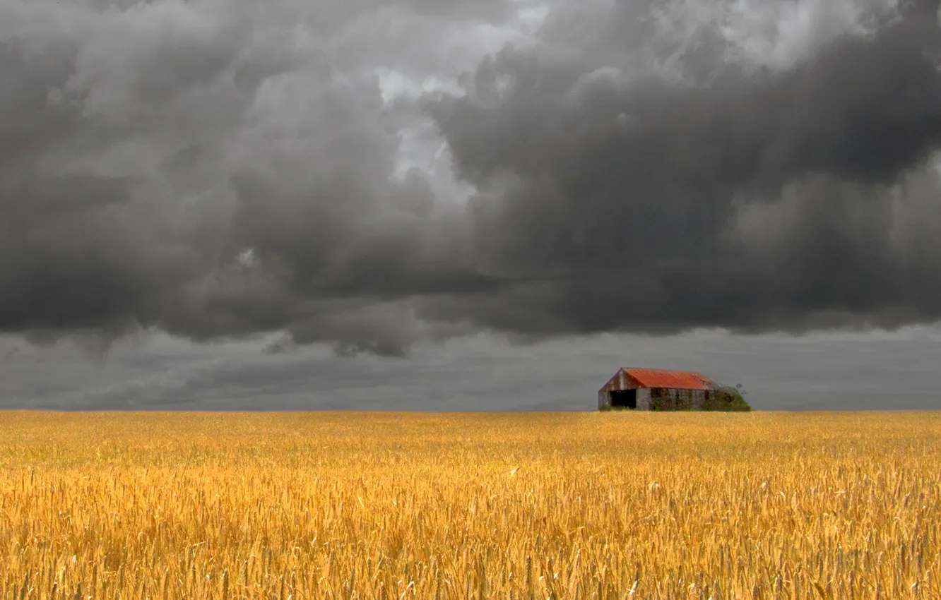 Фото обои поле, буря, амбар, ферма, серые облака