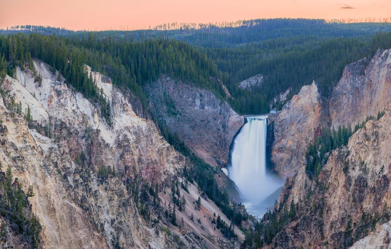 Фото обои лес, пейзаж, природа, скалы, водопад, каньон, национальный парк, The Grand Canyon of Yellowstone National Park