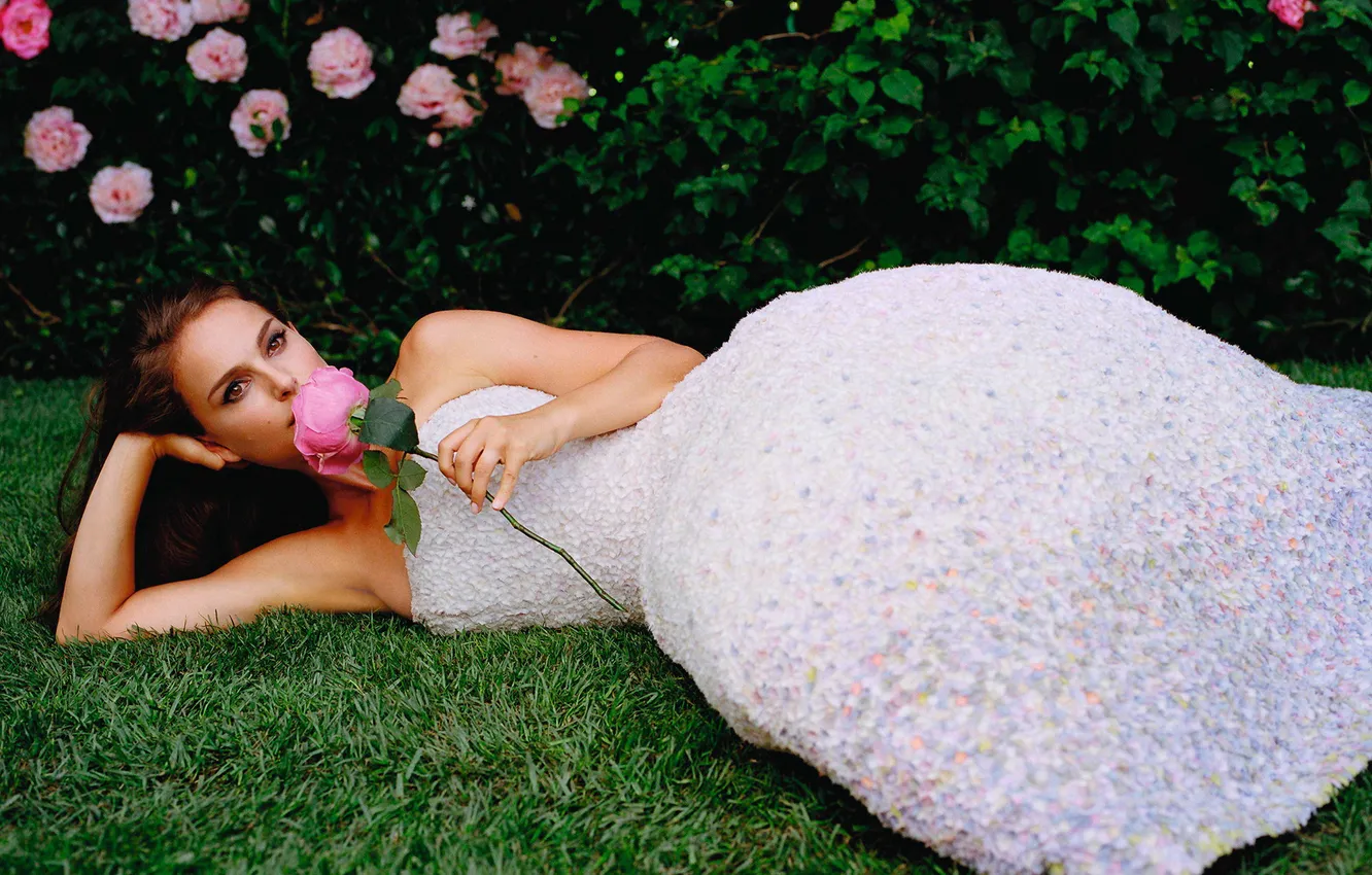 Фото обои трава, девушка, белое, роза, платье, актриса, Natalie Portman, Натали Портман