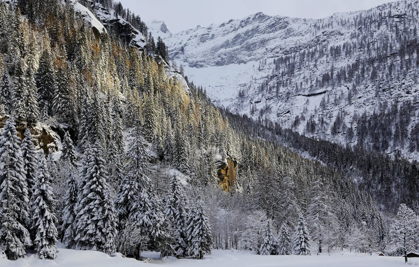 Фото обои зима, лес, снег, деревья, горы, дом, скалы