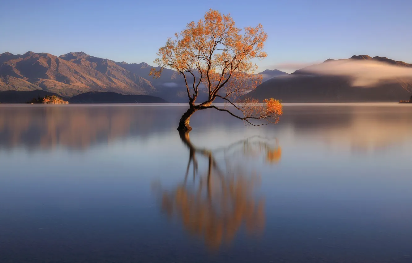 Фото обои горы, озеро, дерево, Новая Зеландия