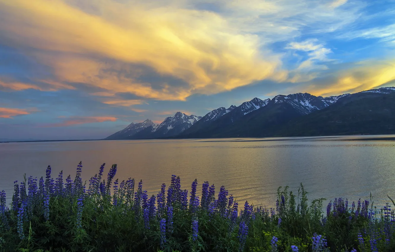 Фото обои Sunset, Grand Teton, Jackson Lake