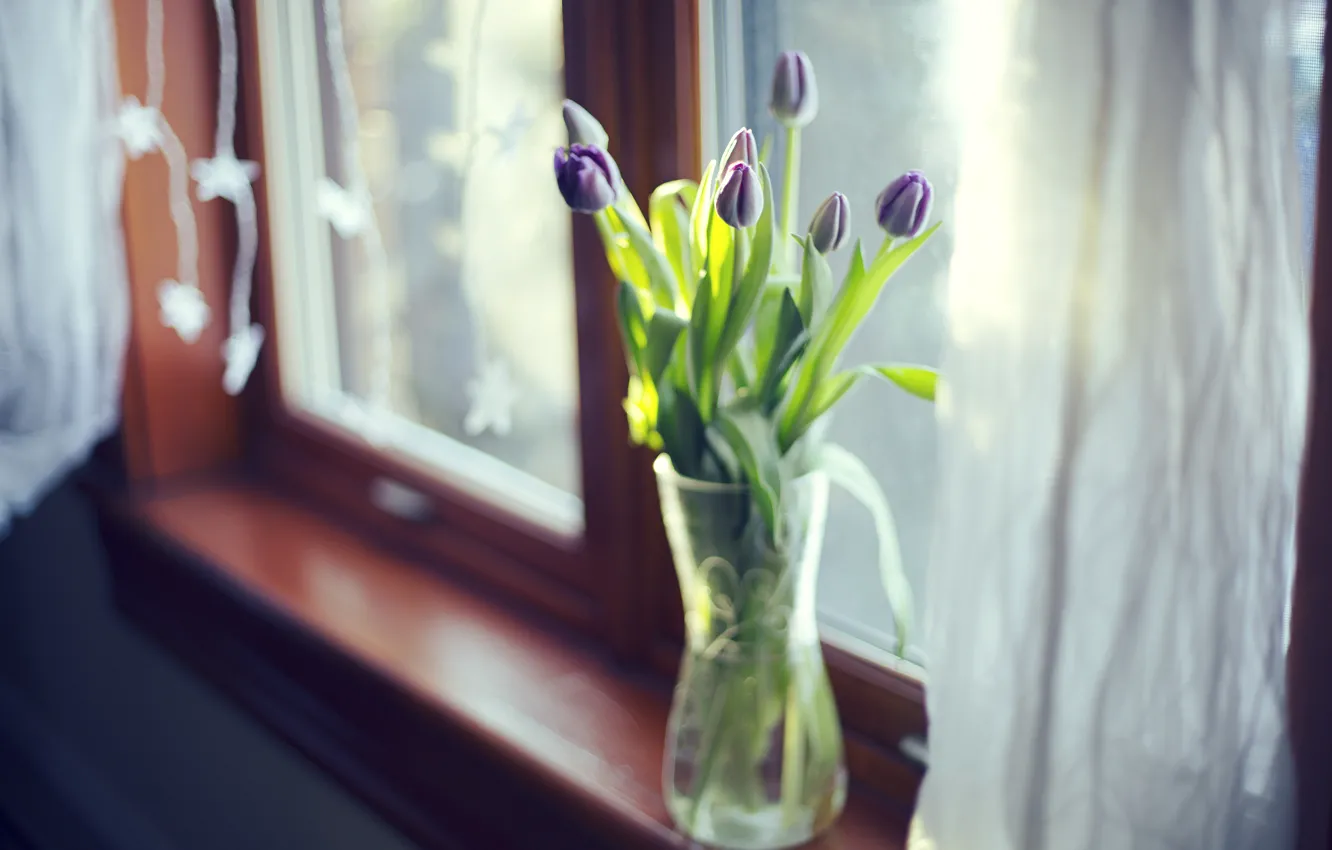 Фото обои листья, цветы, тюльпаны, ваза