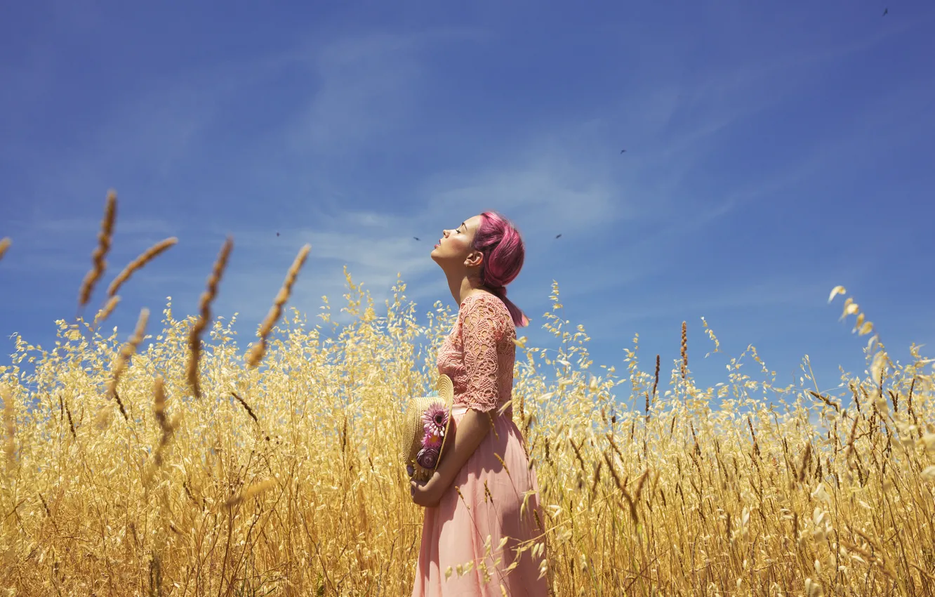 Фото обои поле, лето, девушка, лицо, платье