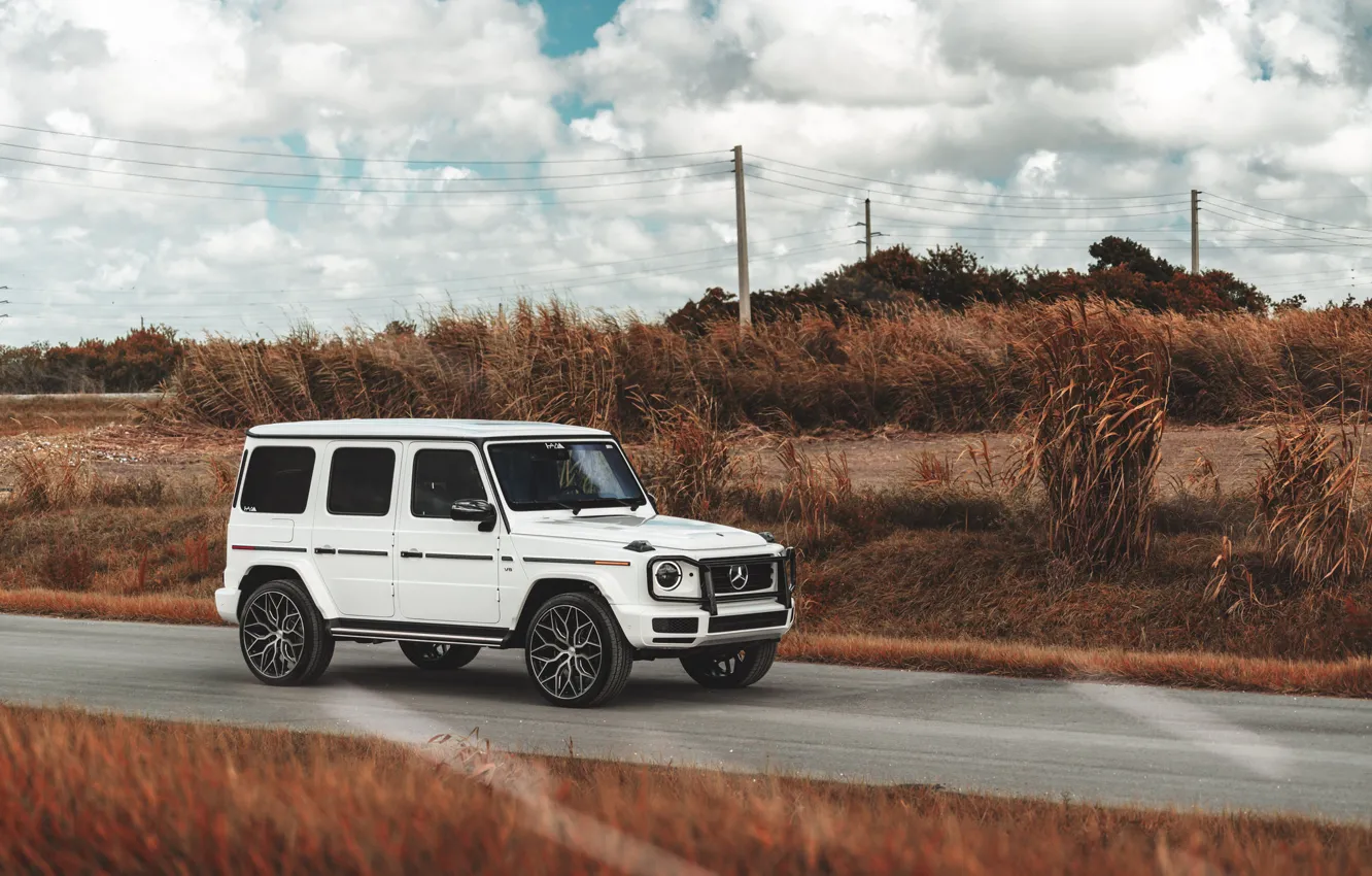 Фото обои Mercedes, White, G500, Field, G-class, W464