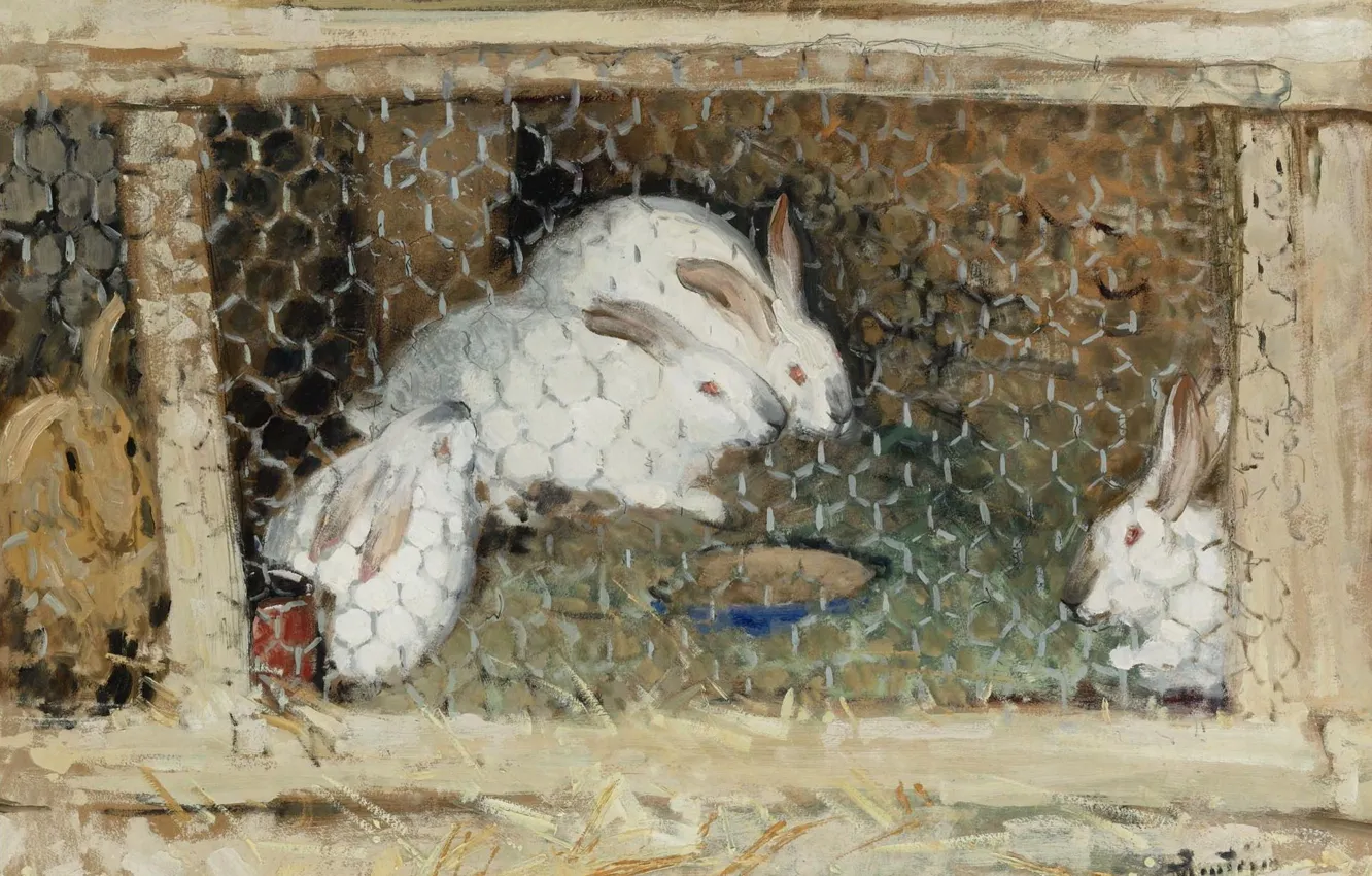 Фото обои животные, картина, клетка, Кролики, Пьер Эжен Монтезин, Pierre-Eugene Montezin