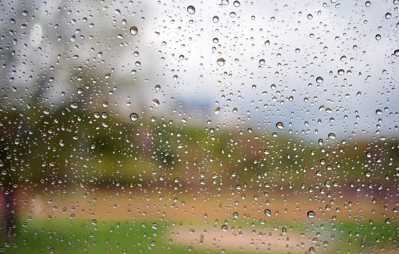 Фото обои стекло, вода, капли, макро, Дождь