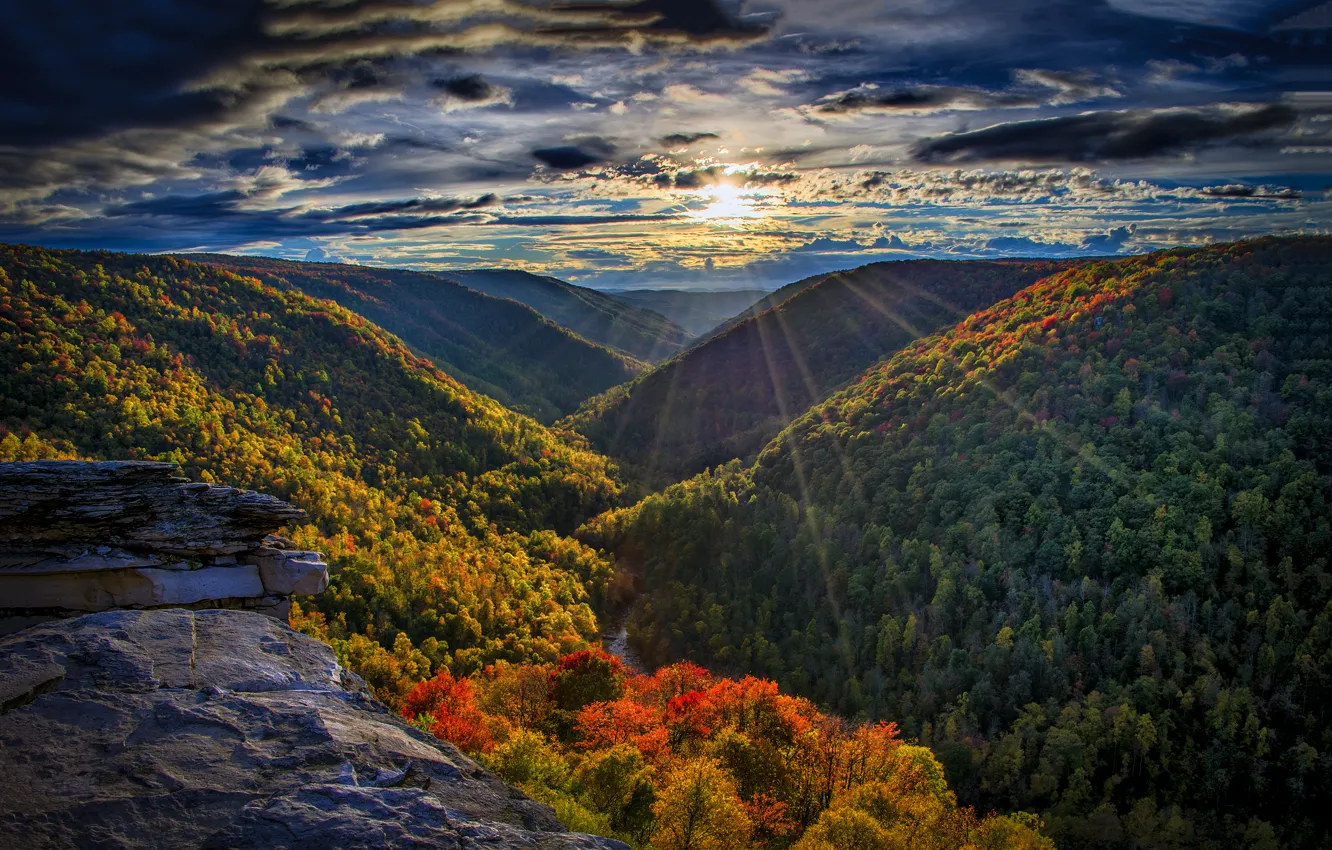 Фото обои осень, лес, солнце, лучи, горы, река, вечер