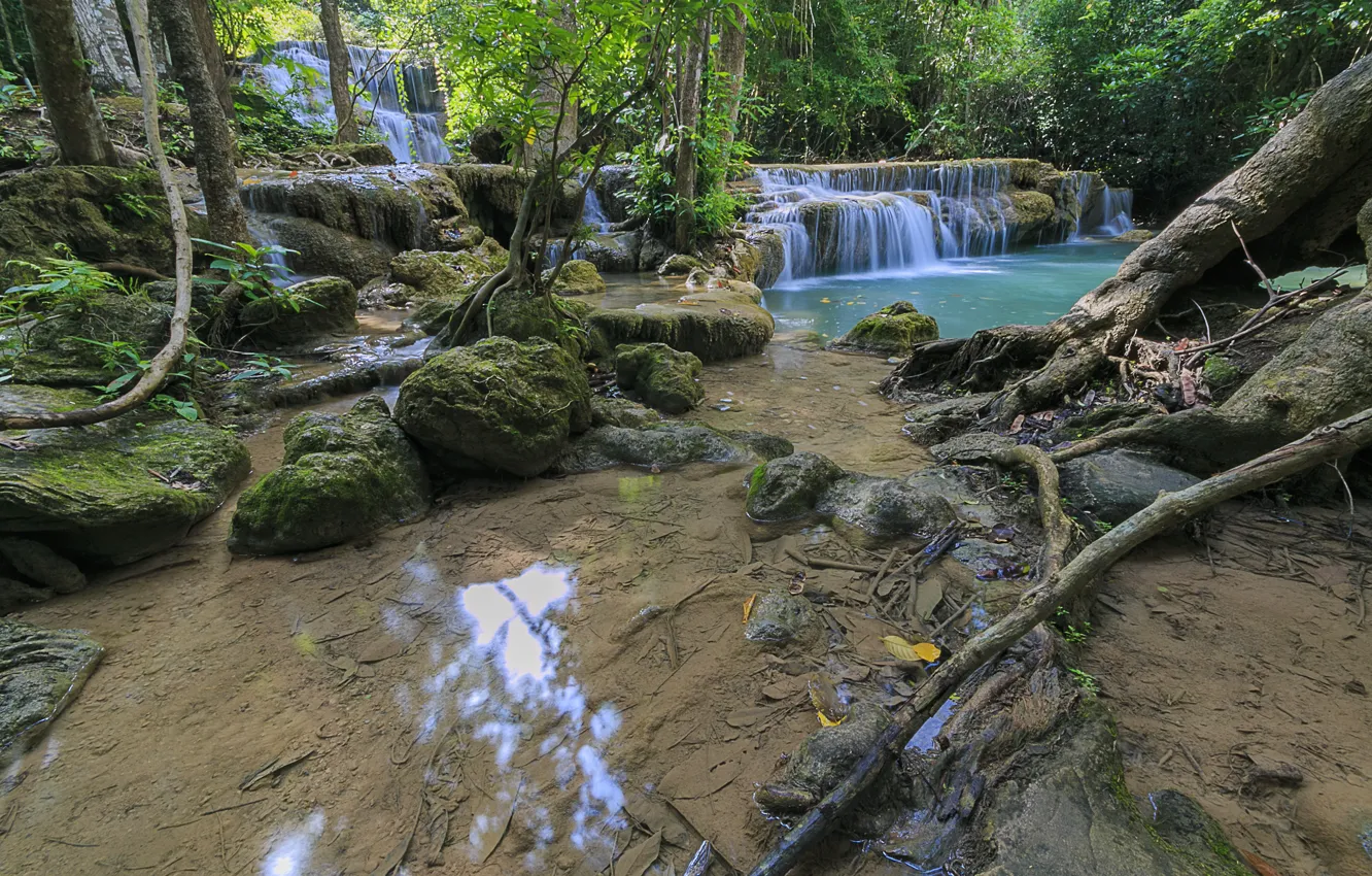 Фото обои лес, пейзаж, река, скалы, водопад, summer, forest, тропический