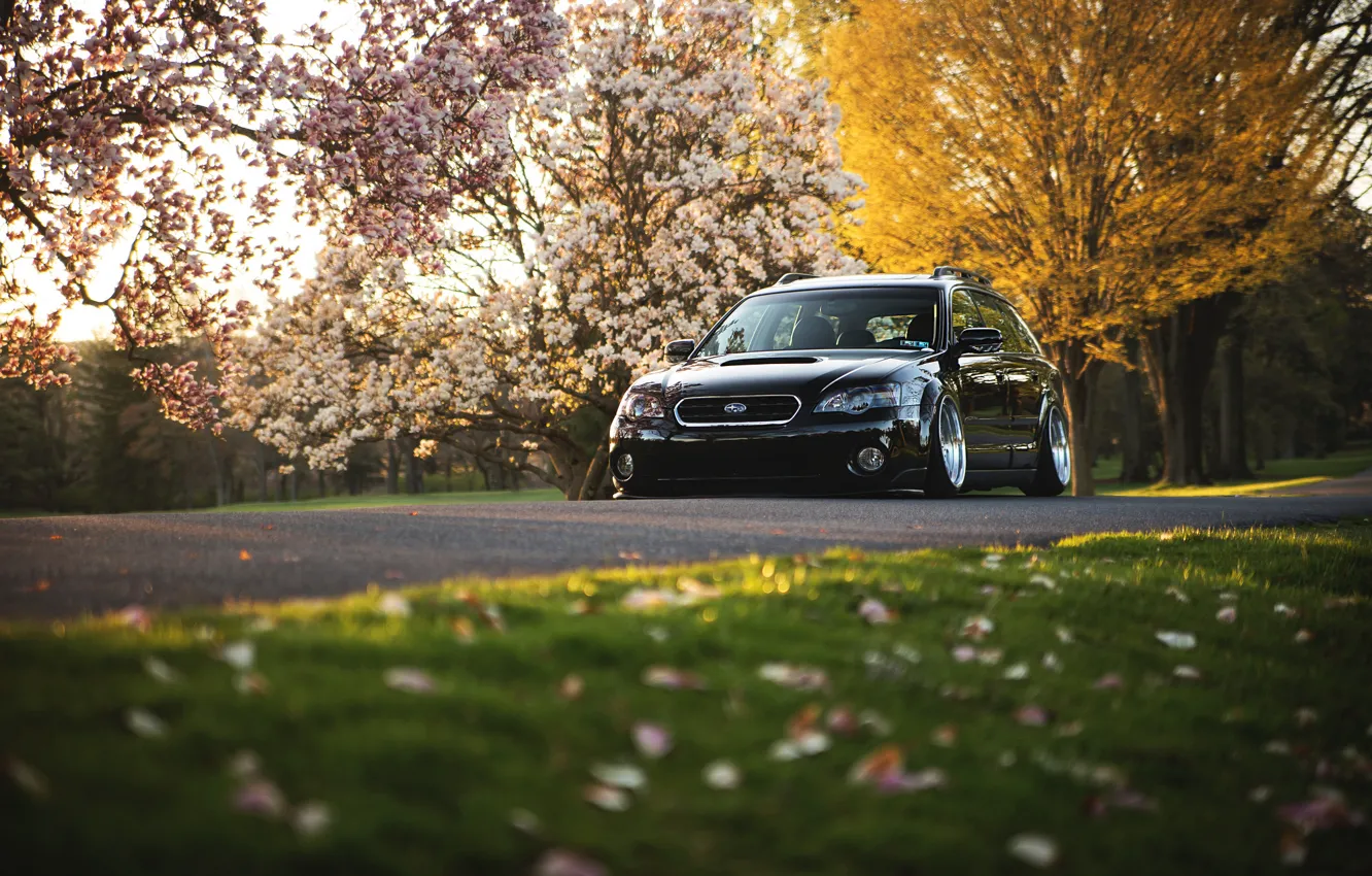 Фото обои Subaru, черная, black, субару, stance, Outback