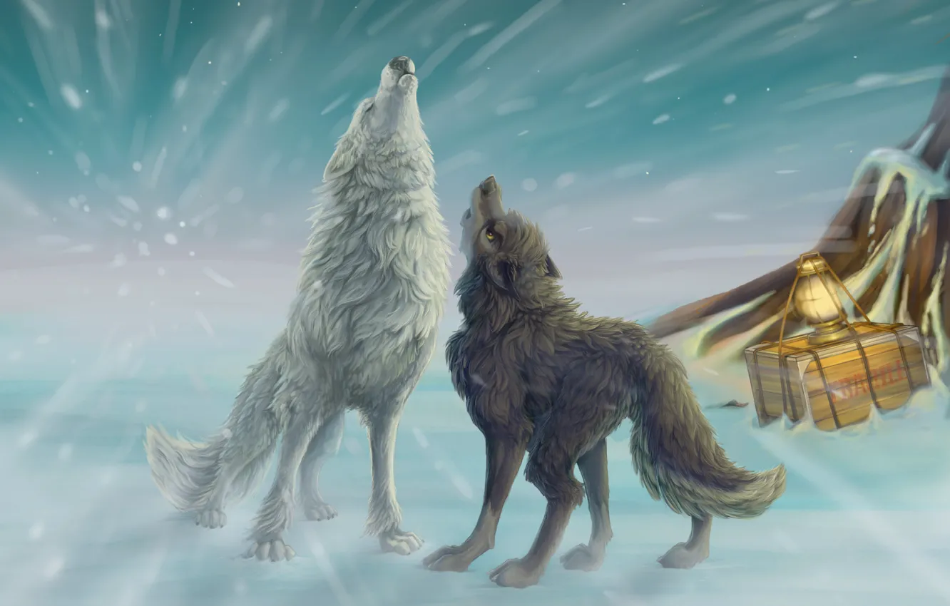 Фото обои зима, снег, арт, фонарь, волки, вой, ящик, метель
