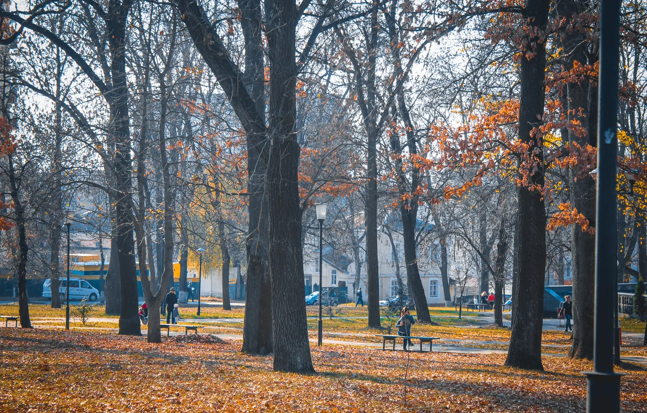 Фото обои осень, деревья, парк, люди, дерево, улица, Пейзаж, лавочки