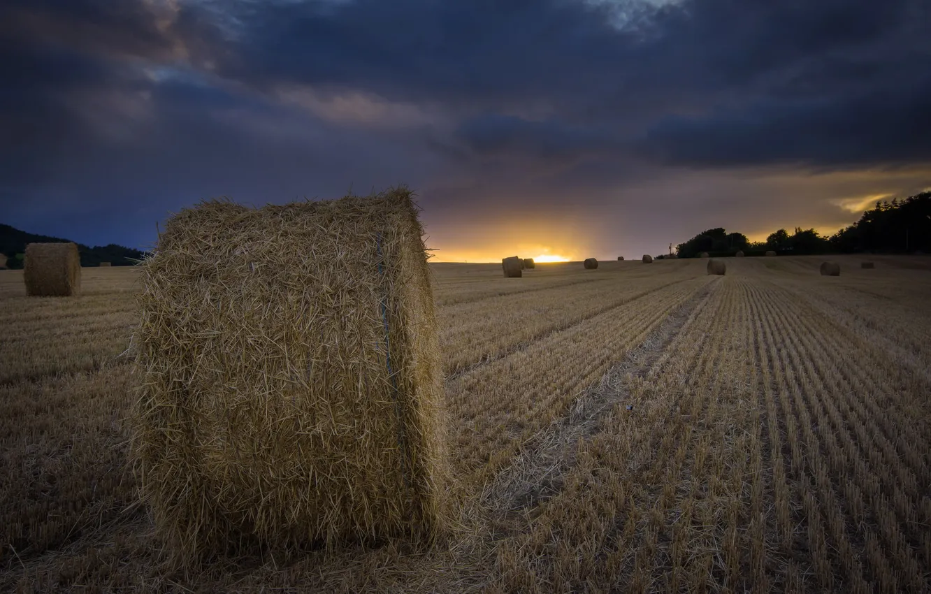 Фото обои поле, закат, сено