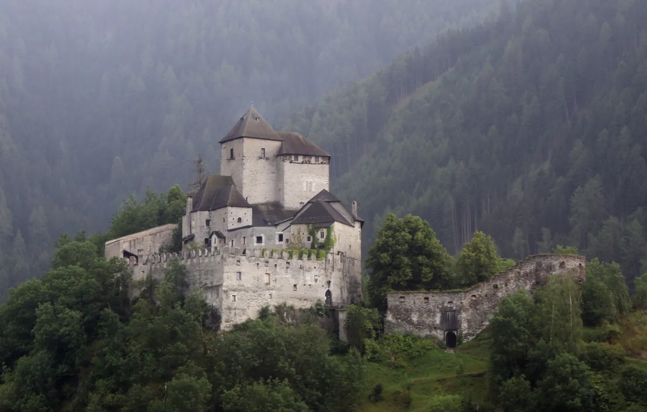 Фото обои лес, деревья, Италия, Italy, Южный Тироль, South Tyrol, средневековая архитектура, замок Райфенштайн