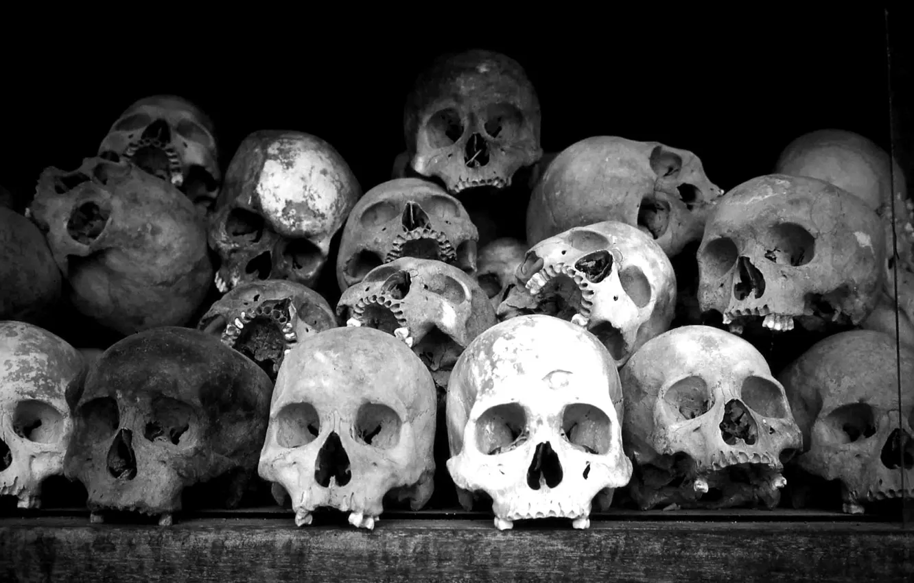 Фото обои черно-белая, склад, кости, черепа