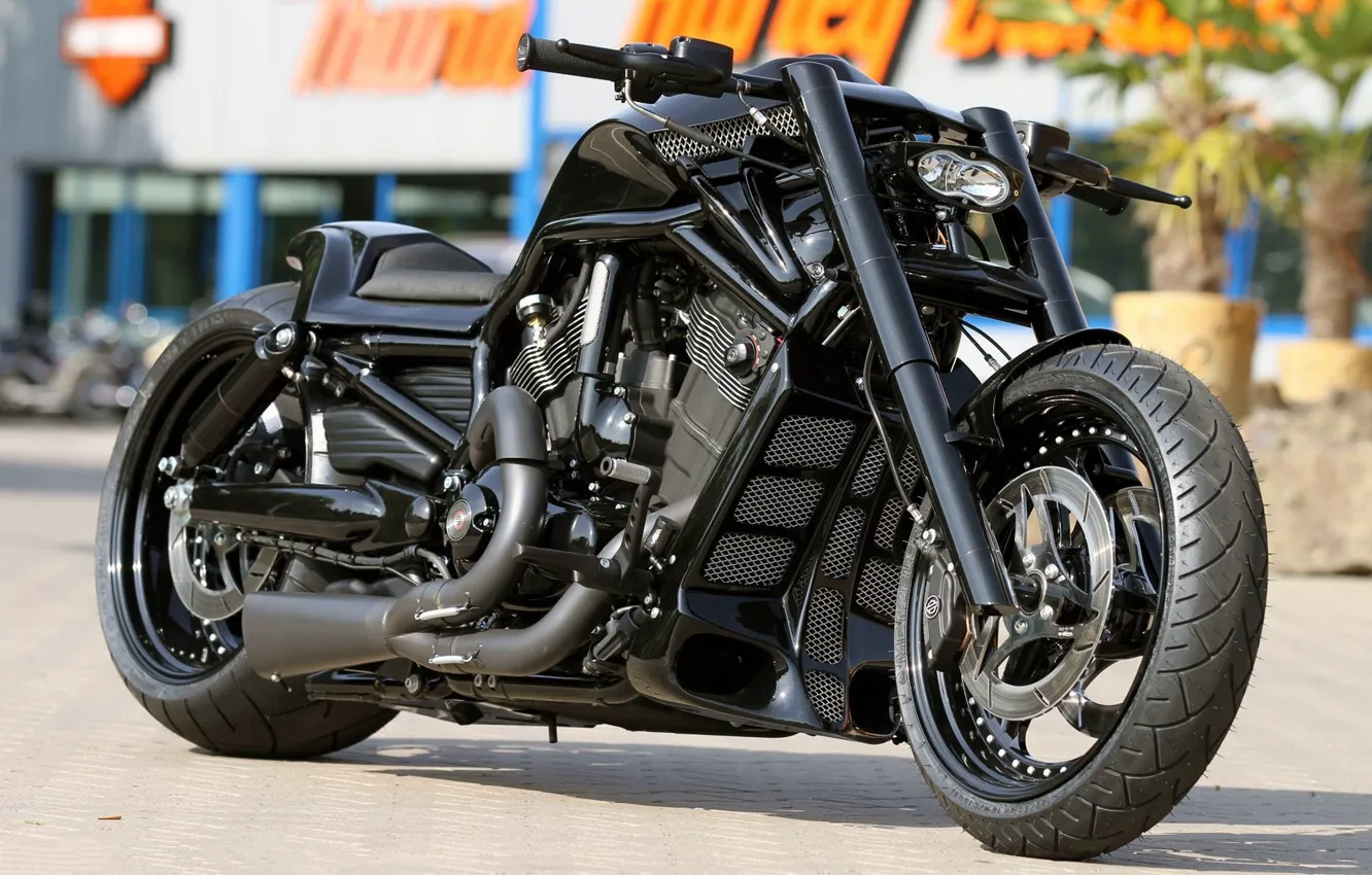 Фото обои Custom, Motorbike, Thunderbike