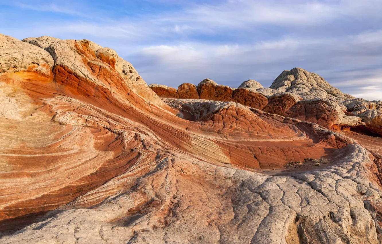 Фото обои Аризона, США, Vermilion Cliffs National Monument, White Pocket