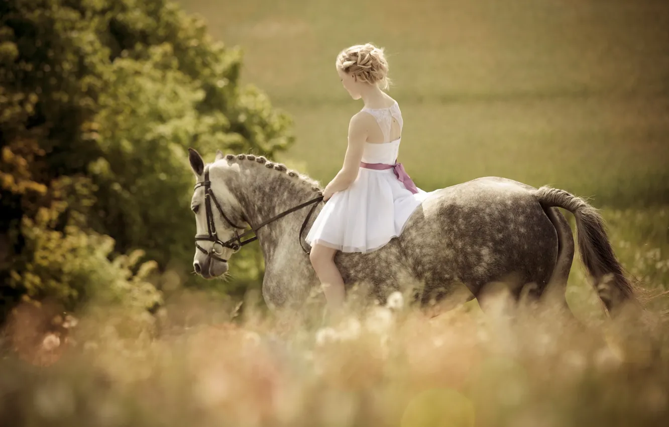 Фото обои девушка, лошадь, блондинка