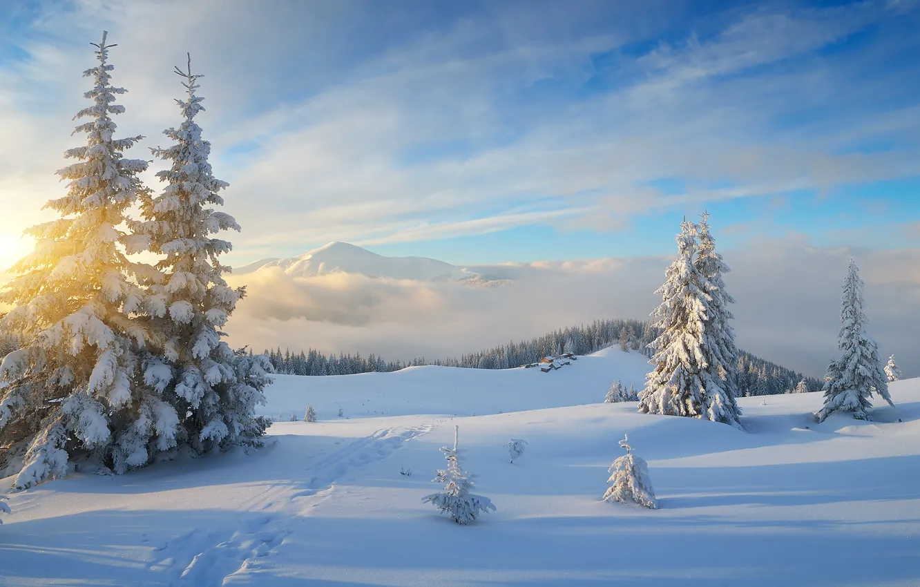 Фото обои зима, лес, небо, солнце, облака, лучи, снег, пейзаж