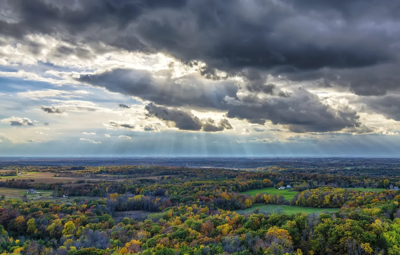 Фото обои осень, лес, облака, пейзаж, горизонт