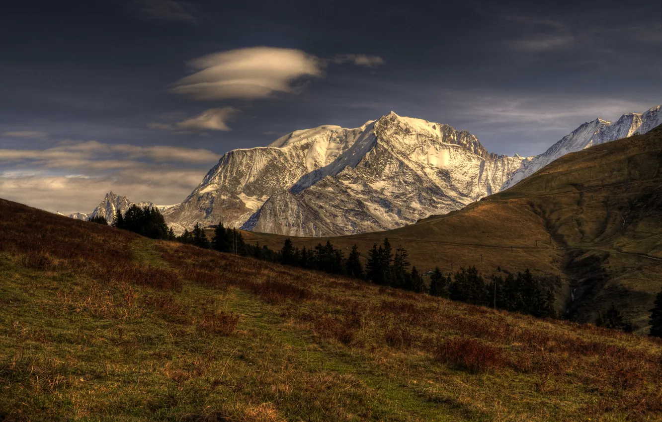 Фото обои трава, снег, деревья, горы, вершины, облако