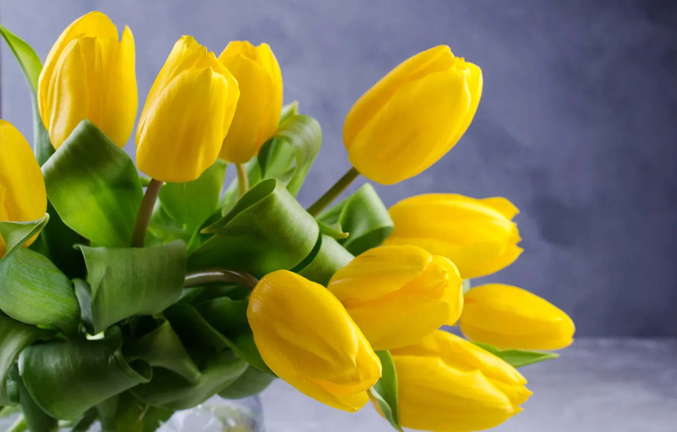 Фото обои цветы, фон, букет, желтые, тюльпаны, красивые, Irinka Vasilinka