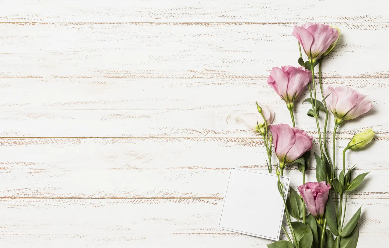 Фото обои цветы, букет, wood, pink, flowers, эустома, eustoma