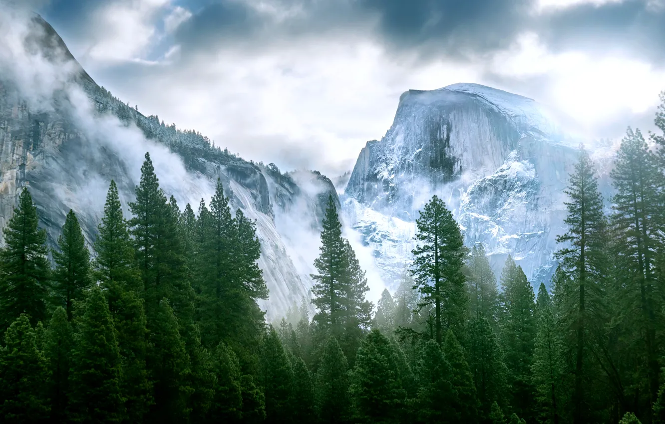 Фото обои лес, горы, природа