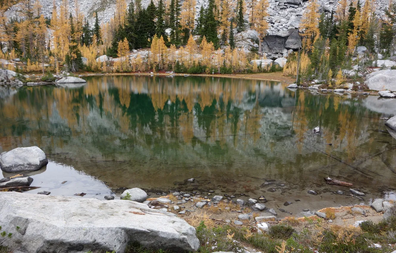 Фото обои осень, деревья, озеро, камни, склон