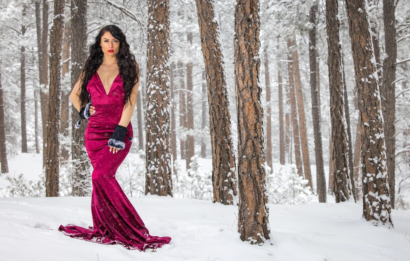 Фото обои зима, лес, девушка, снег, лицо, фигура, платье