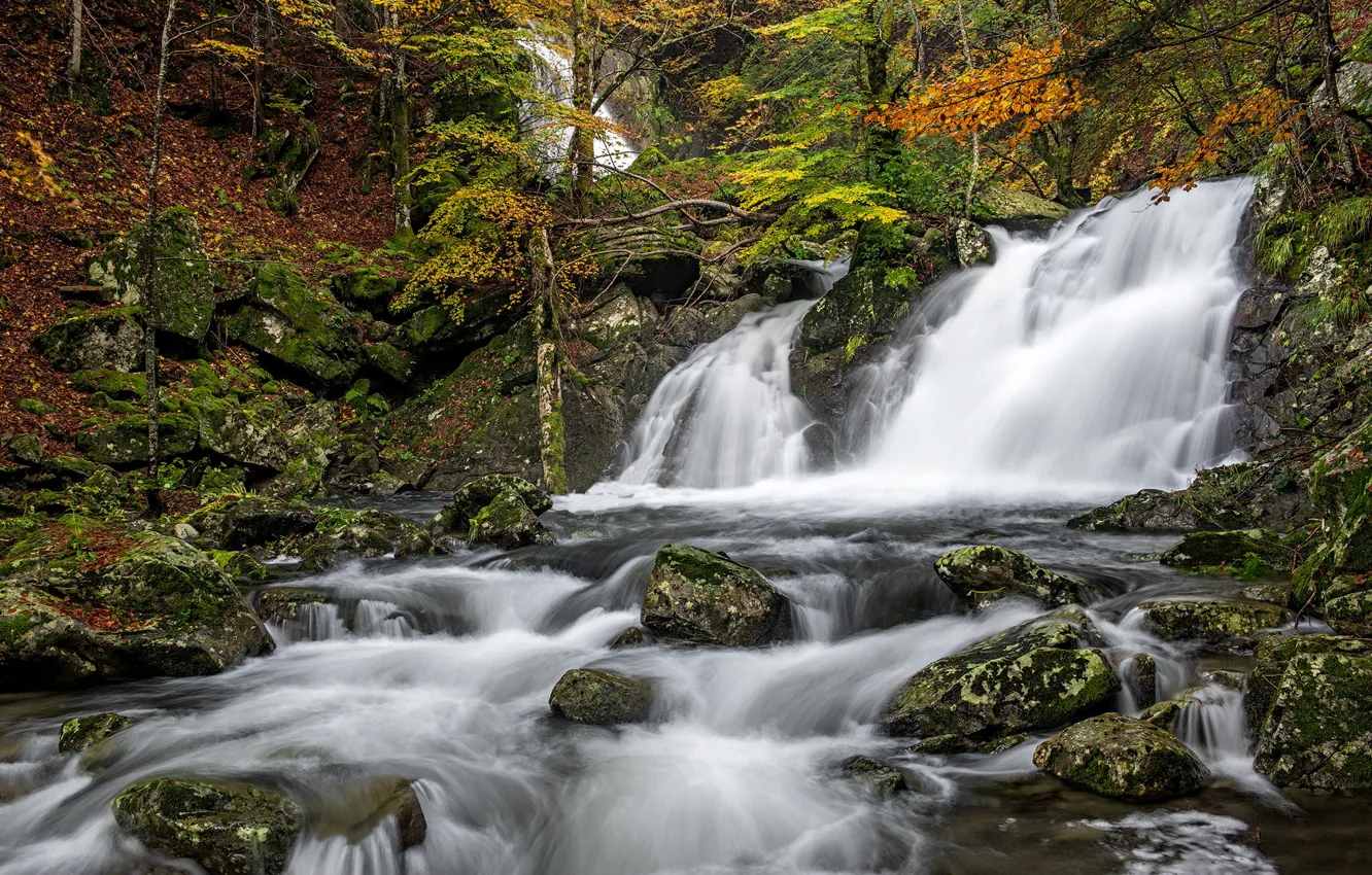 Фото обои осень, лес, река, камни, водопад, Италия, каскад, Italy