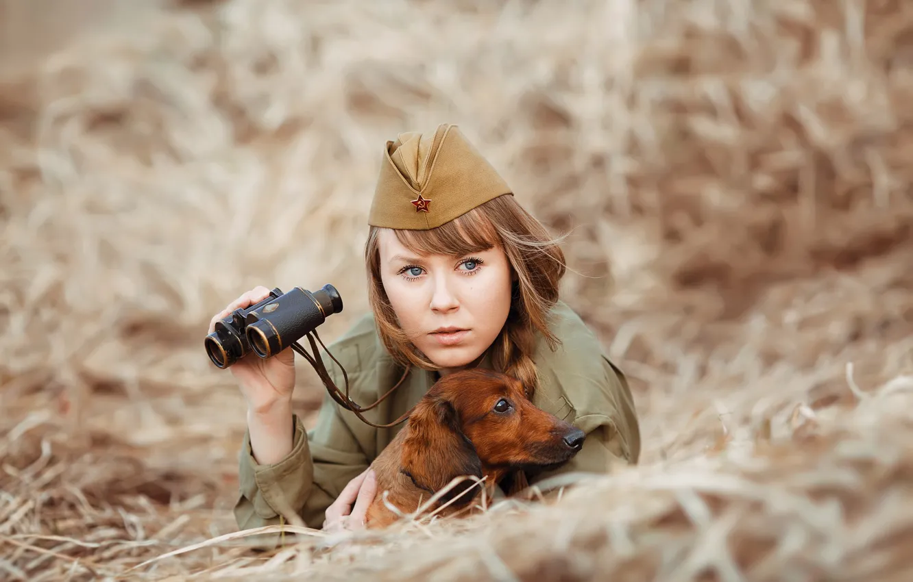 Фото обои девушка, собака, солдат, сено, бинокль, такса, пилотка, фотограф Светлана Никотина