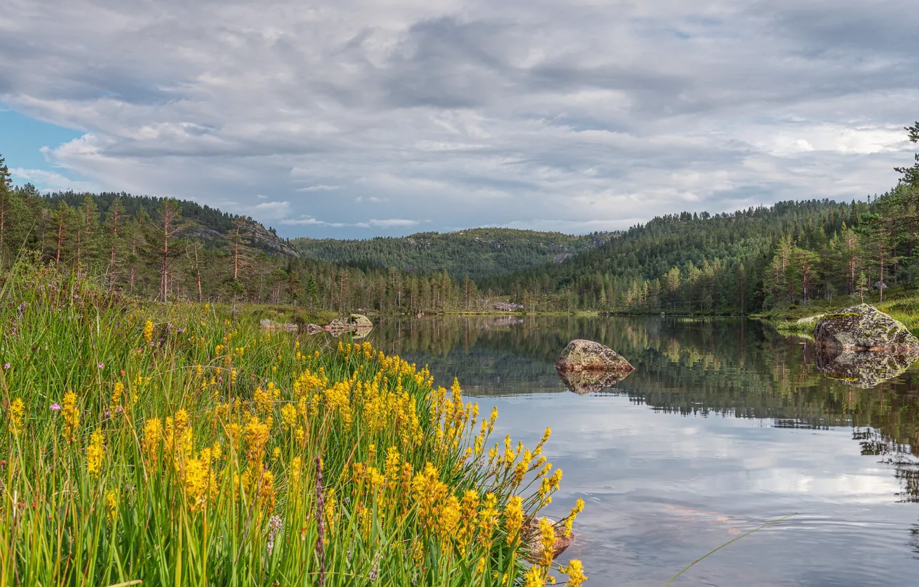 Фото обои озеро, фото, Норвегия