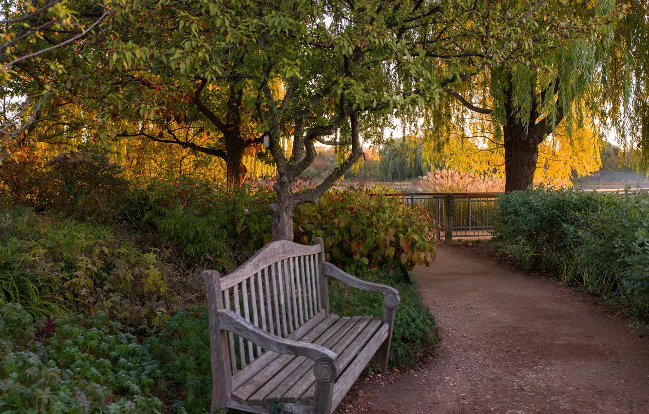 Фото обои осень, деревья, скамейка, пруд, парк, забор, дорожка, США