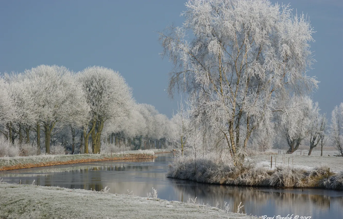 Фото обои зима, снег, деревья, природа, река